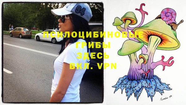 PSILOCYBIN Новодвинск