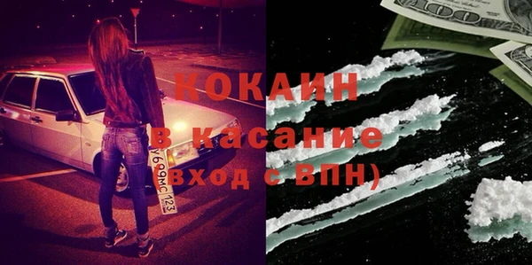 шишки Няндома