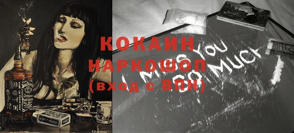 шишки Няндома