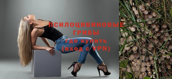 PSILOCYBIN Новодвинск